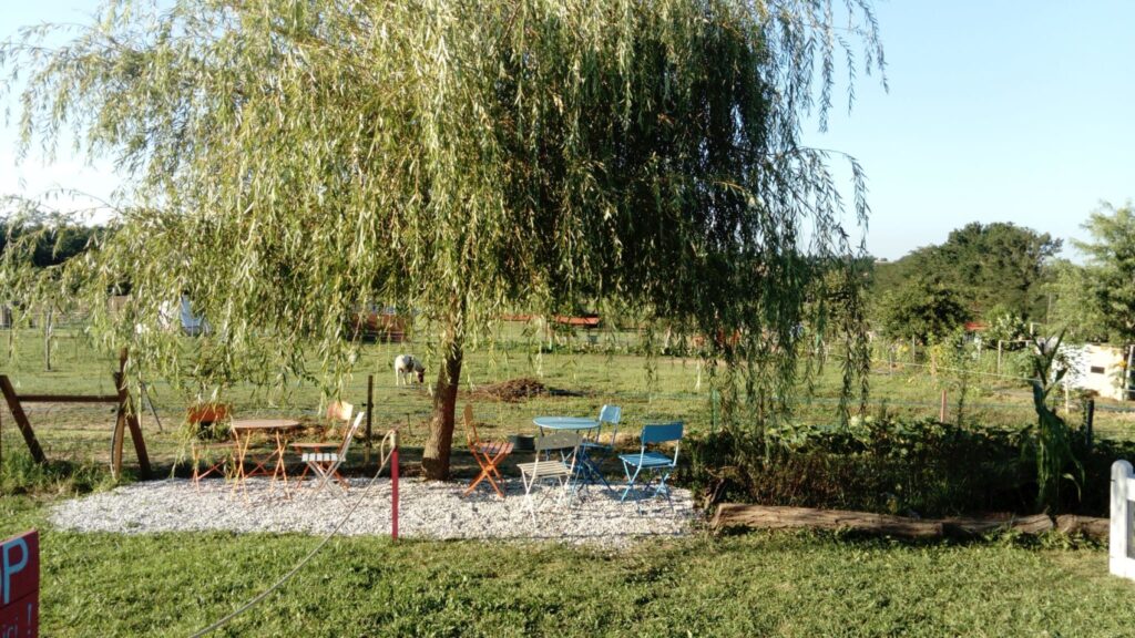 Les salons de jardin à l'ombre des arbres de la ferme pédagogique de Pouillon Les salons de jardin à l'ombre des arbres de la ferme pédagogique de Pouillon